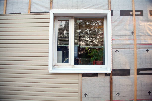 Best Steel Siding Installation  in USA